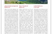 Engel & Völkers, Spanischkurse, Englischkurse, Deutschkurse, Intensiveminare, Intensivkurs, Spanisch lernen Palma de Mallorca, Sprachen lernen Mallorca, Sprachkurs Mallorca, Englisch Intensivkurs, Superlearning, Sprachschule Palma de Mallorca, Crashkurs,  Sprachenkurs, schnell lernen, Sprachreisen, Uebersetzungen